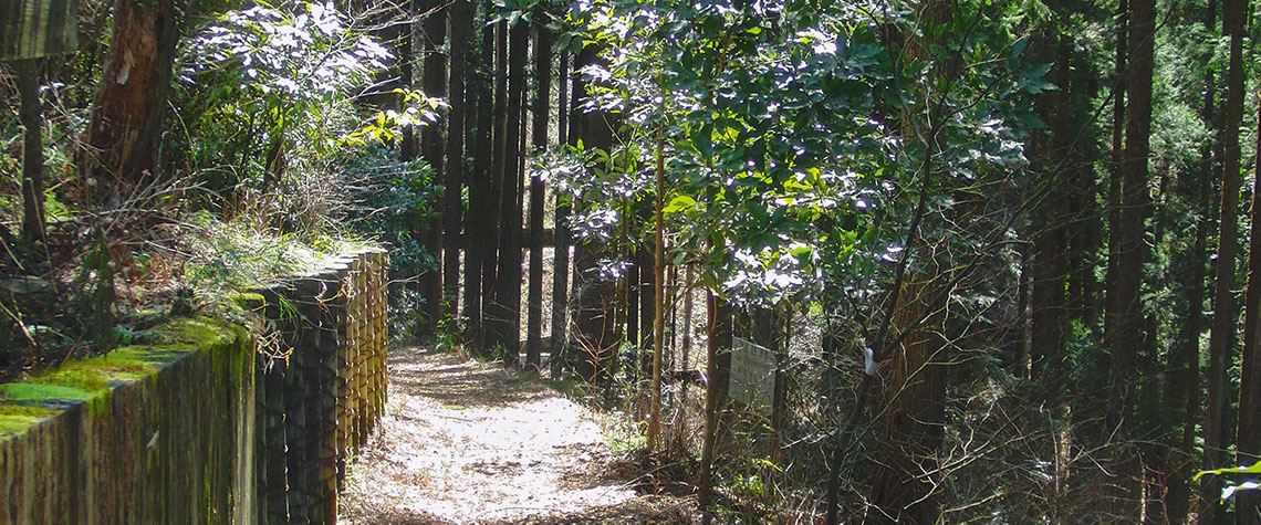 Shinrin Yoku in Japan. Relaxen und durchatmen bei einem entspannten Spaziergang auf einer typischen Forest Therapy Road