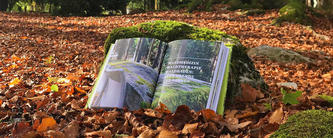 Waldbaden? Shinrin Yoku? Im-Wald-Sein! Das Buch für jeden, der an Gesundheit und Wald interessiert ist von Dr. Melanie H. Adamek